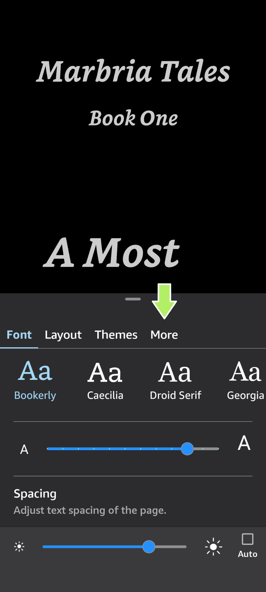 Screenshot highlighting More section of reading setting menu in the Kindle app