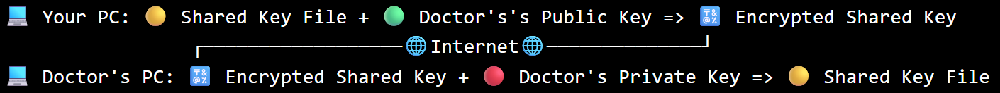 Diagram showing you generating a shared key, encrypting it with the doctor's public key, and the doctor decrypting it with their private key